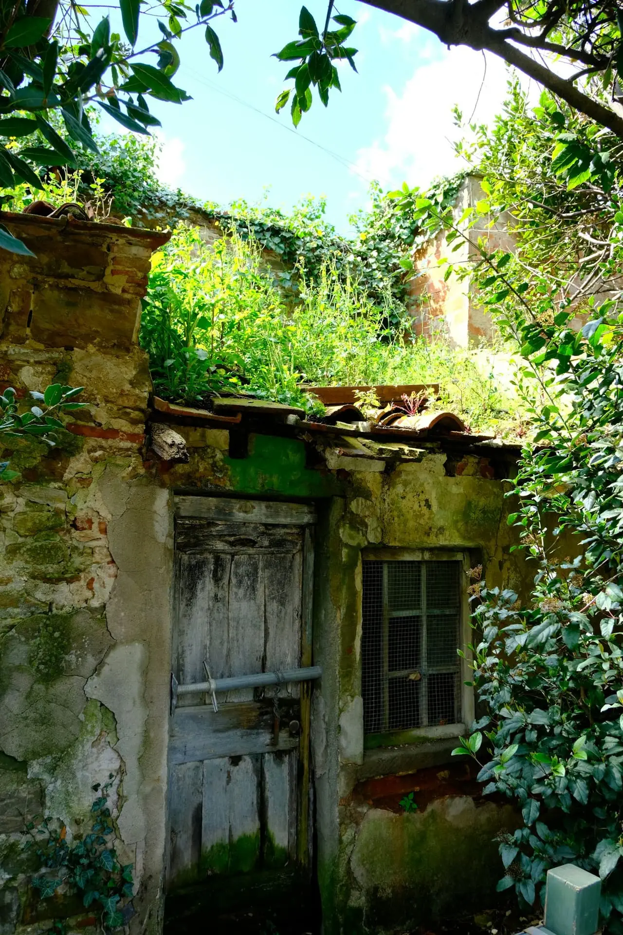 Rustico in pietra con terreno vicino a Pergine – Foto 3 di 6