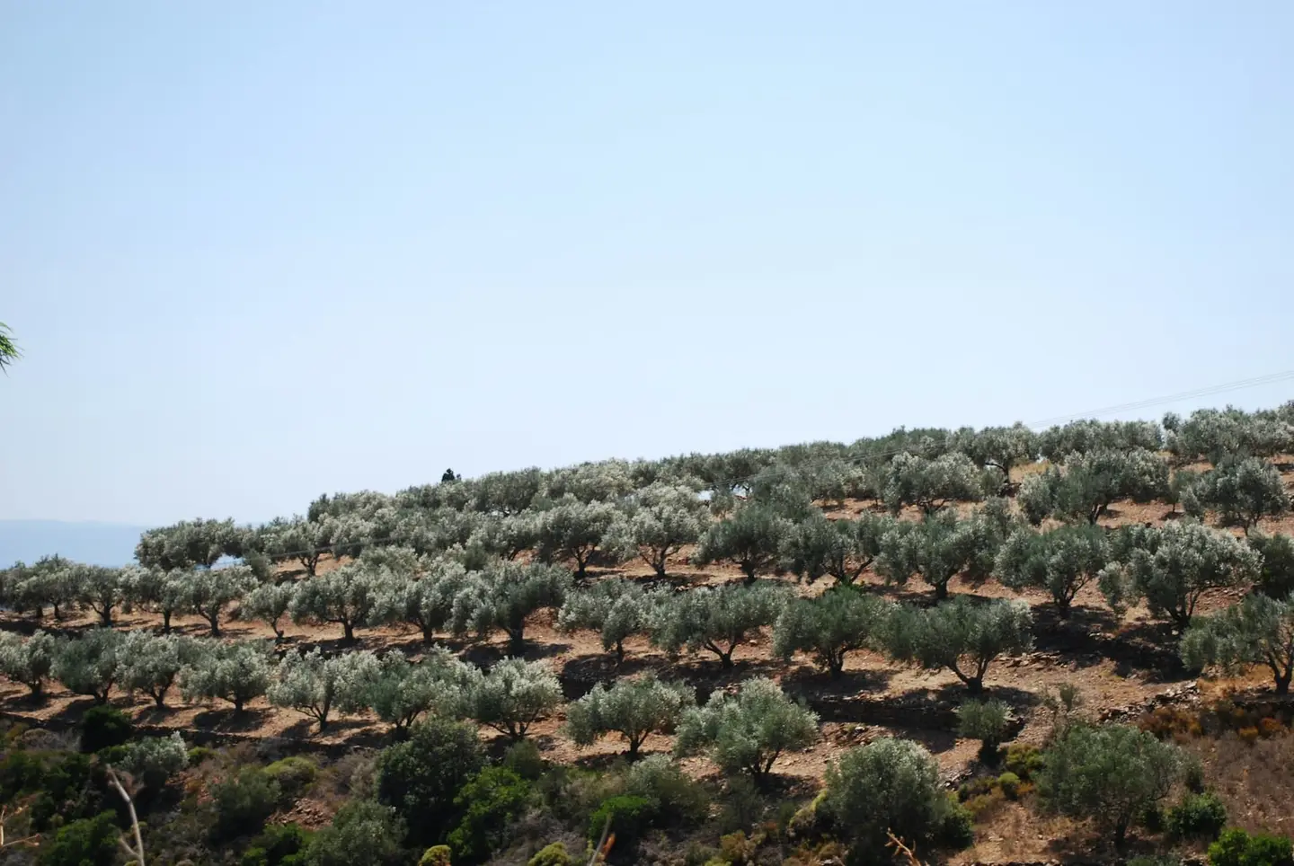 Rustico in pietra con terreno vicino a Pergine – Foto 6 di 6