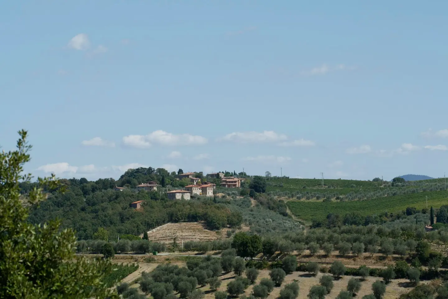 Casale in pietra con oliveta a Pietrapiana – Foto 6 di 9
