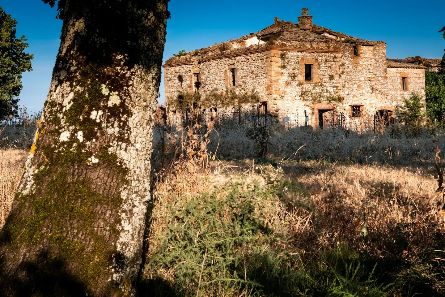 Rustico da ristrutturare con vista sul Pratomagno – Foto 1 di 6