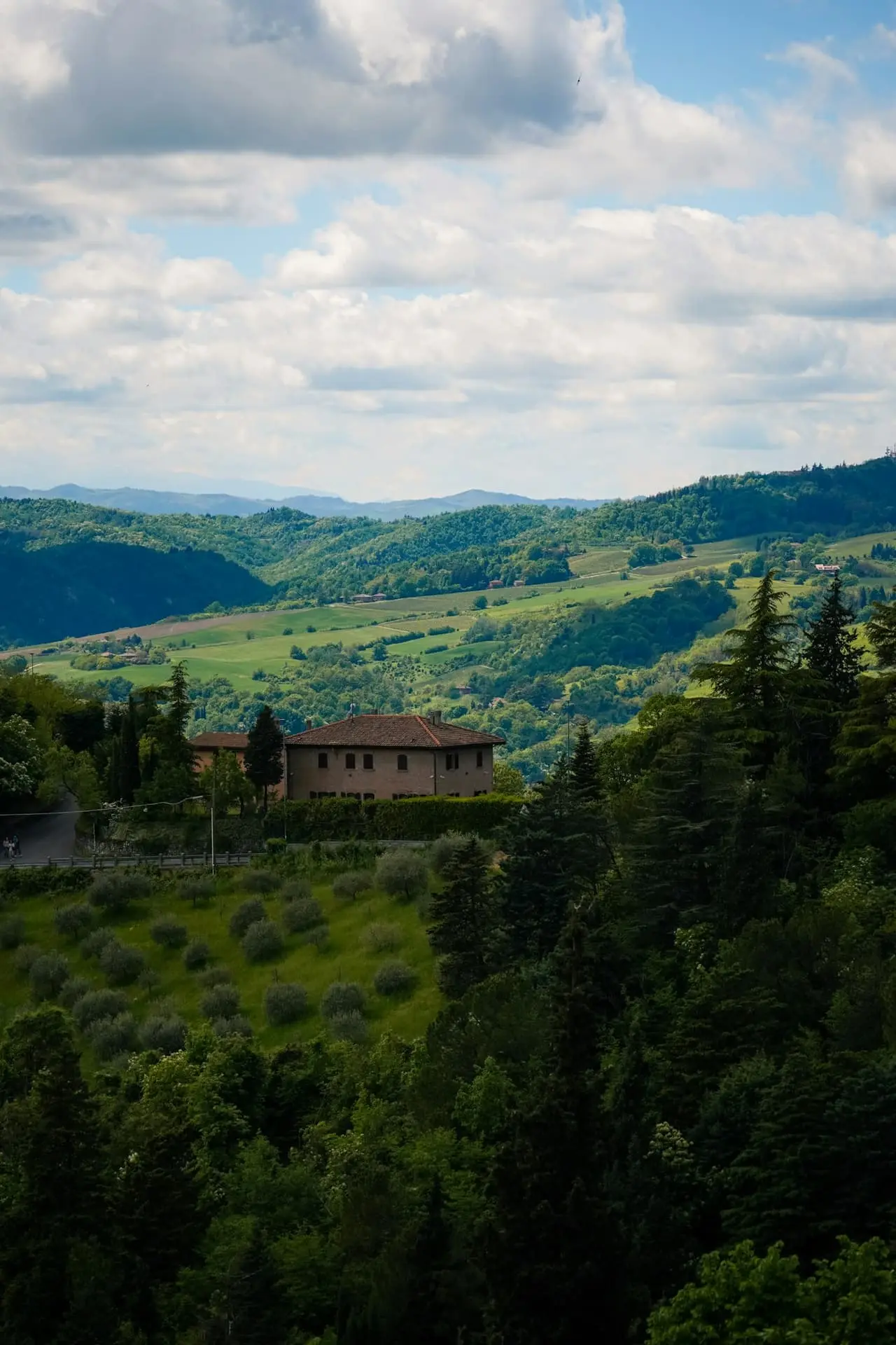 Rustico da ristrutturare con vista sul Pratomagno – Foto 6 di 6