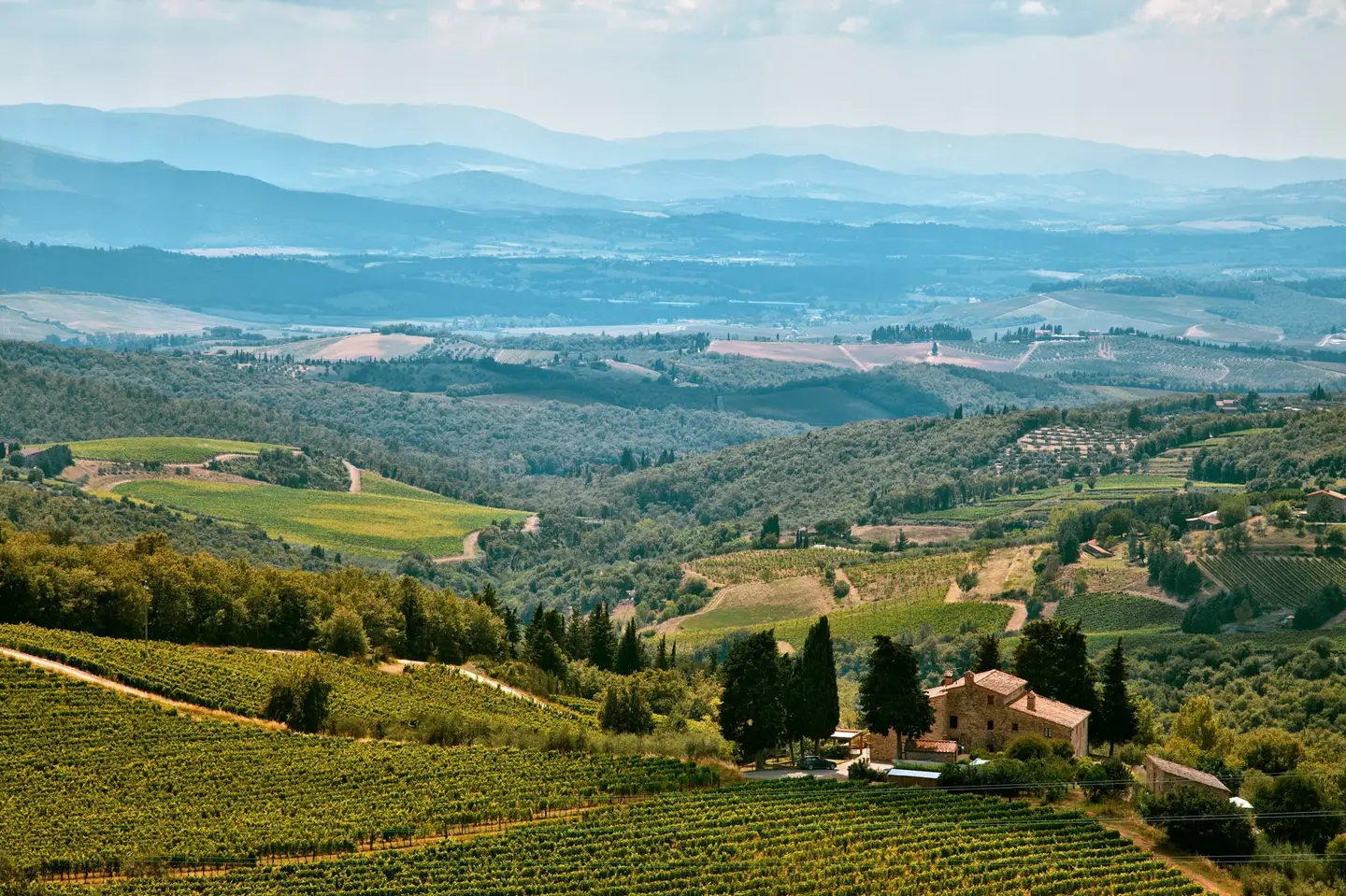 Colline del Valdarno con vigneti, olivi e casolari