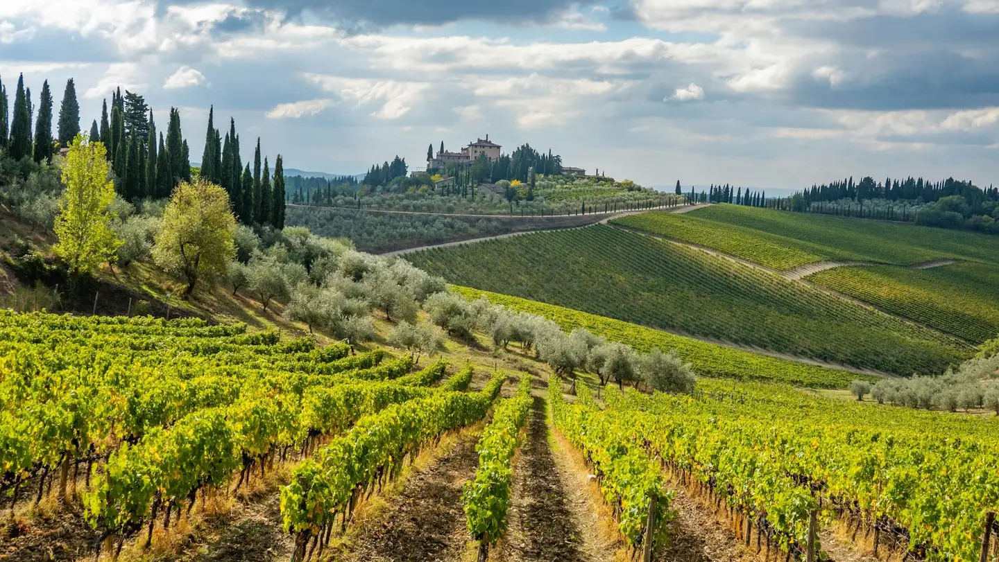 La Val d'Ambra, castelli e vigne sul confine del Chianti
