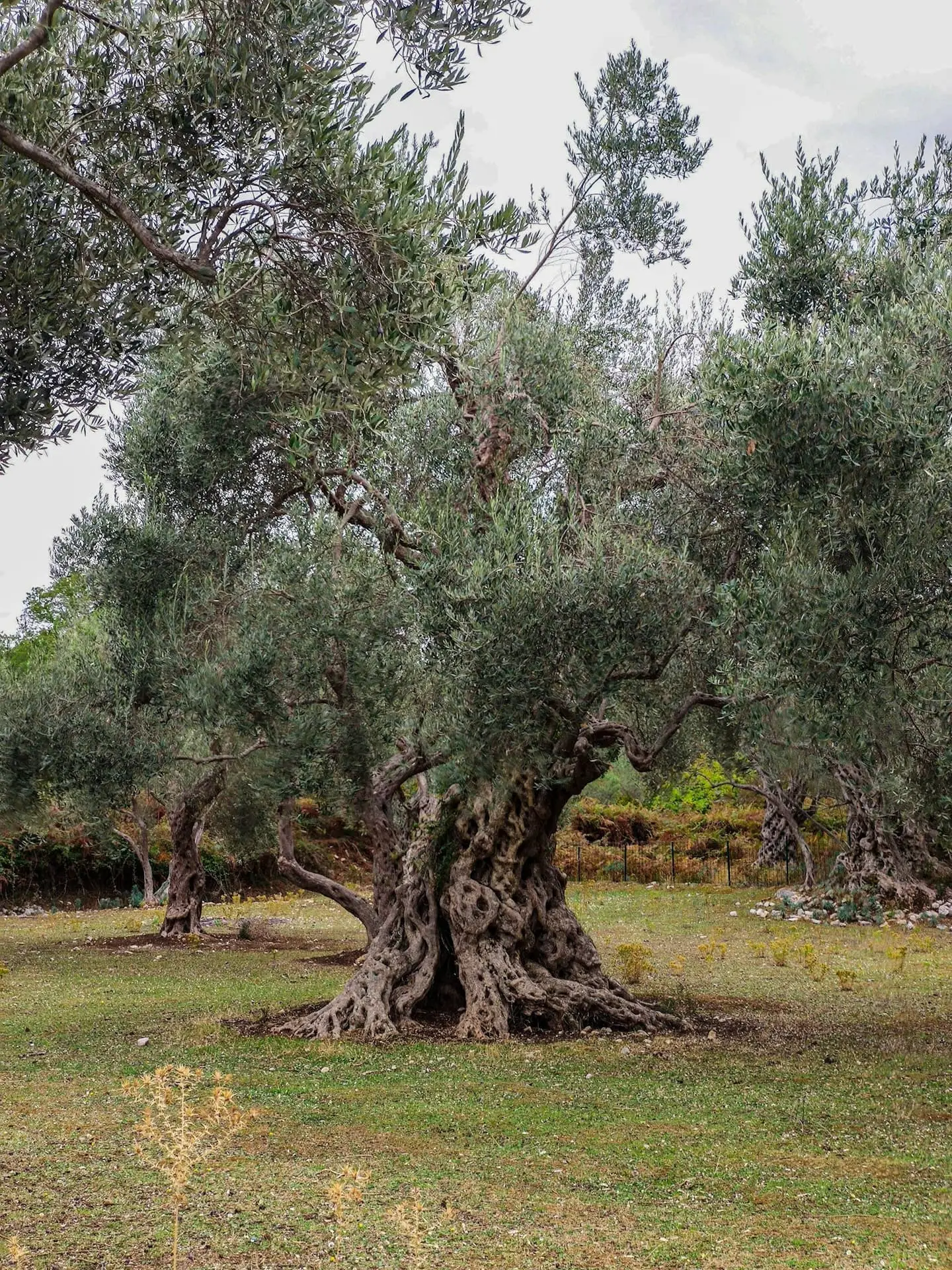 L'Arno selvaggio e la campagna più autentica
