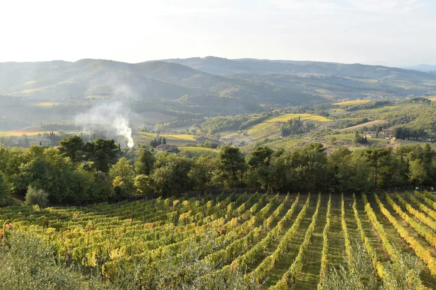 Il centro del Valdarno, tra mercati e colline del Chianti