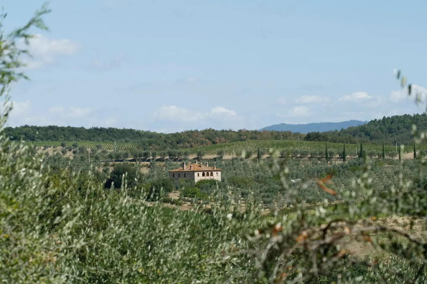 Il Valdarno più vicino a Firenze